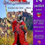 picture of 38 èmes fêtes médiévales du Grand Fauconnier