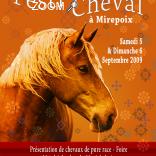 photo de Festi'Cheval