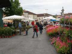 Foto JARDIN EN FETE