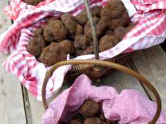 фотография de JOURNEE TRUFFES