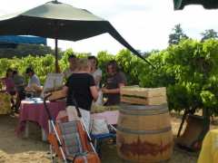 Foto domaine des cassagnoles - marché à la ferme