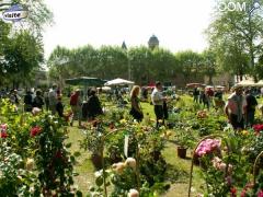 photo de 2ème ARTS et PASSIONS AU JARDIN