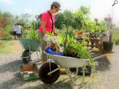 photo de Troc'plantes