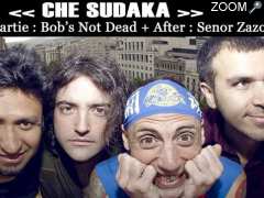 photo de ★ Concert : Che Sudaka + Bob's not dead + Señor Zazou ★