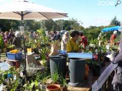 Foto Vide-jardin à Tournefeuille