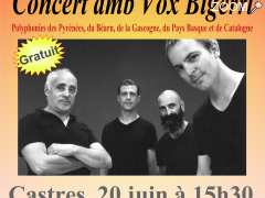 picture of Concert de polyphonies avec Vox Bigerri