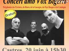 foto di Concert de polyphonies avec Vox Bigerri